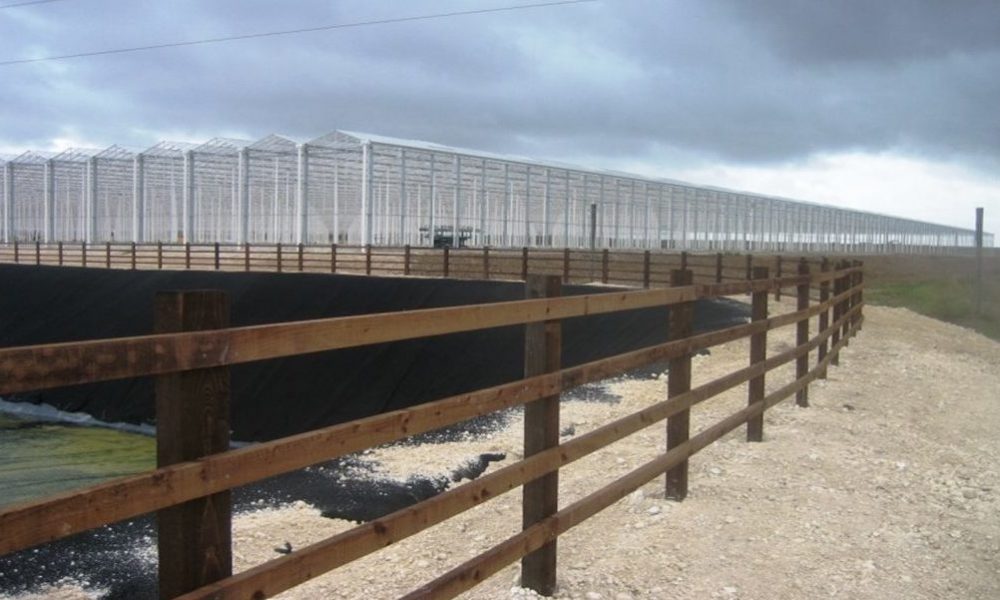 Thanet Earth Birchington Kent - Post & 4 Rail Fencing